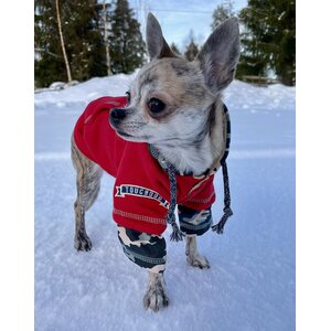 Koiran huppari, TouchDog™