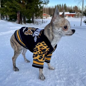 Koiran takki TouchDog™