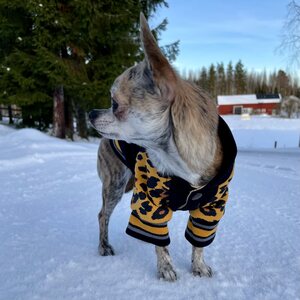 Koiran takki TouchDog™