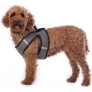 Buddy Soft koiranvaljas
