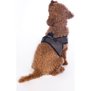Buddy Soft koiranvaljas