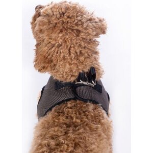 Buddy Soft koiranvaljas