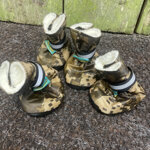 Globus dog shoes, 4pk