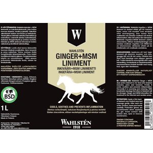 Wahlsten W-ginger + msm liniment 1 l