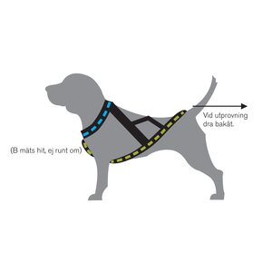 Kennel Valjas Nome Active