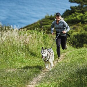 Kennel Valjas Nome Active