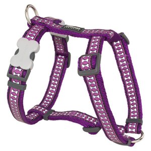 Red Dingo Koiran valjas Reflective