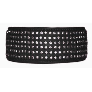 Globus dog collar, stones, 6 rows