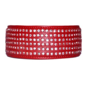 Globus dog collar, stones, 6 rows