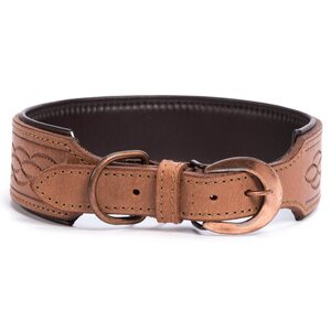 Globus dog collar "etash"