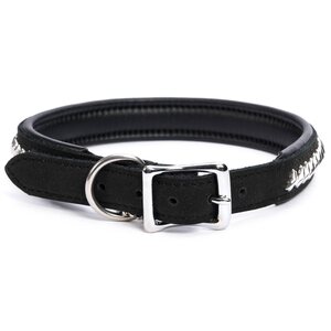 Globus dog collar "muffin"