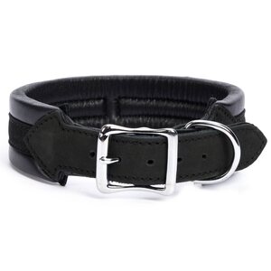 Globus dog collar "jade"