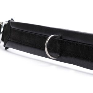 Globus dog collar "jade"