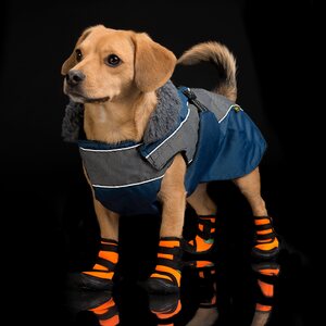 Globus dog shoes, neoprene, 4pk
