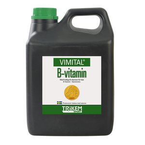 Vimital vitamin b "vimital", 1000ml
