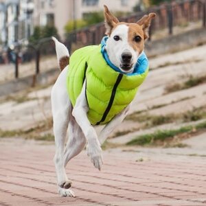 Collar Airy Vest koirantakki, ultrakevyt