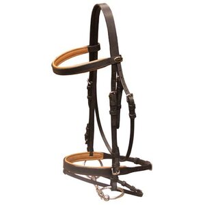 Globus Suitset, Scandic