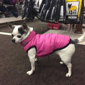Collar Airy Vest koirantakki, ultrakevyt