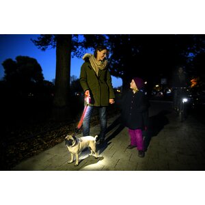 Flexi Vario LED Flash Belt, LED jatko-osa S/M