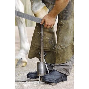 Mountain Horse Protective jodphur