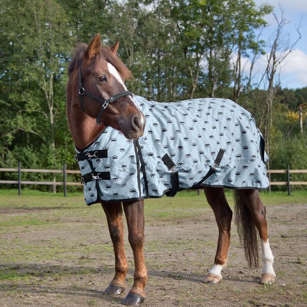 Horze sadeloimi ponille
