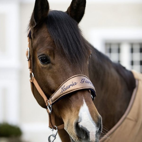 Lauria Garrelli Head collar -Moena-