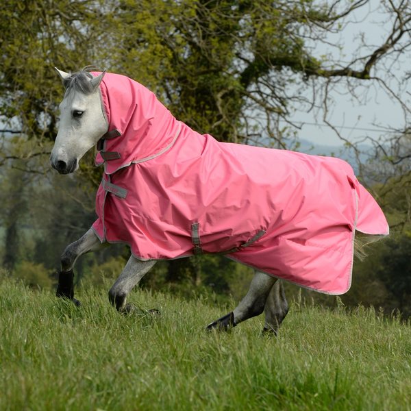 Bucas Freedom Turnout Light Fullneck sadeloimi