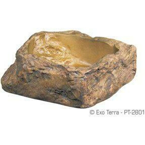 Exoterra vesiastia S 8.5x8x3cm