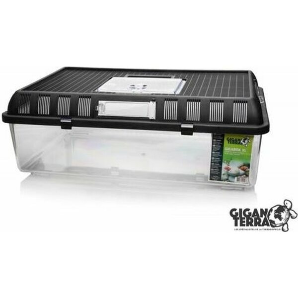 Giganterra Gigabox Wide muoviterraario, 41,8 x 26 x 14,5cm