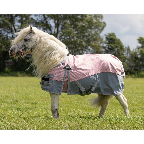 QHP Falabella sadeloimi, 0g