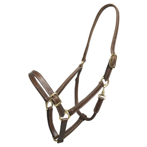 Horse Comfort Jenkkiriimu nahkaa, turvalta avattava