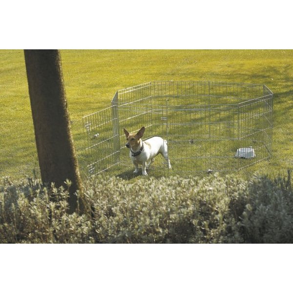 Savic Dog Park pentuaitaus, korkeus 61cm